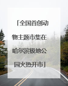全国首创动物主题市集在哈尔滨极地公园火热开市