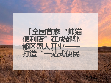 全国首家“帅猫便利店”在成都郫都区盛大开业——打造“一站式便民服务”新标杆
