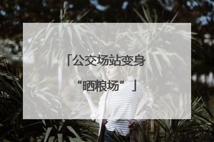 公交场站变身“晒粮场”