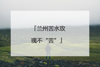 兰州苦水玫瑰不“苦”