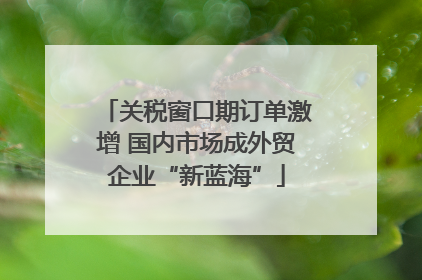 关税窗口期订单激增 国内市场成外贸企业“新蓝海”