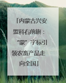 内蒙古兴安盟科右前旗：“蒙”字标引领农畜产品走向全国