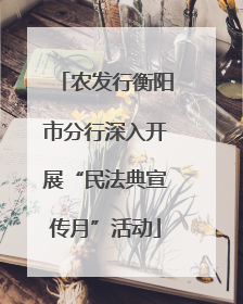 农发行衡阳市分行深入开展“民法典宣传月”活动