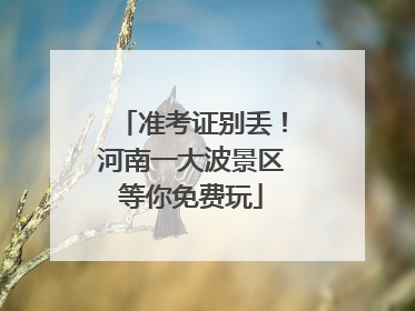 准考证别丢！河南一大波景区等你免费玩