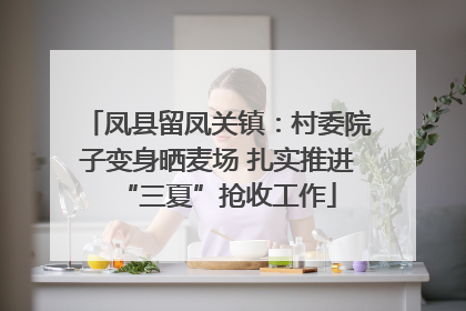 凤县留凤关镇：村委院子变身晒麦场 扎实推进“三夏”抢收工作