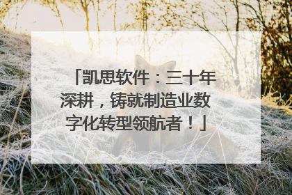凯思软件：三十年深耕，铸就制造业数字化转型领航者！