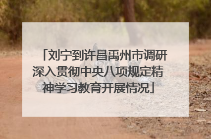 刘宁到许昌禹州市调研深入贯彻中央八项规定精神学习教育开展情况