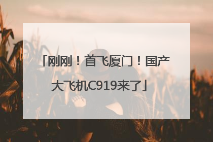 刚刚！首飞厦门！国产大飞机C919来了