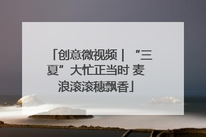创意微视频｜“三夏”大忙正当时 麦浪滚滚穗飘香