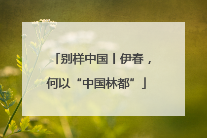 别样中国丨伊春，何以“中国林都”