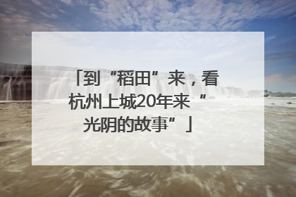 到“稻田”来，看杭州上城20年来“光阴的故事”