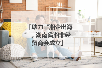 助力“湘企出海”，湖南省湘非经贸商会成立