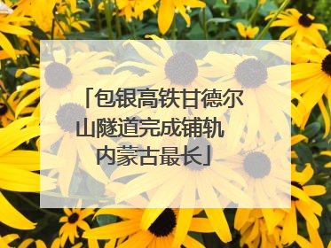 包银高铁甘德尔山隧道完成铺轨 内蒙古最长