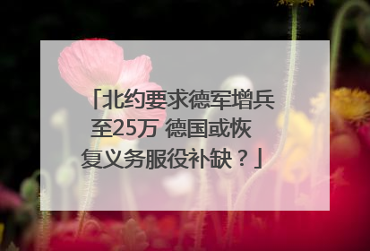 北约要求德军增兵至25万 德国或恢复义务服役补缺？