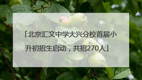 北京汇文中学大兴分校首届小升初招生启动，共招270人