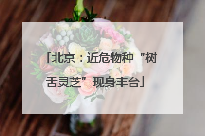 北京：近危物种“树舌灵芝”现身丰台