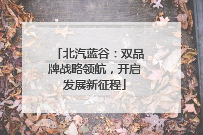 北汽蓝谷：双品牌战略领航，开启发展新征程
