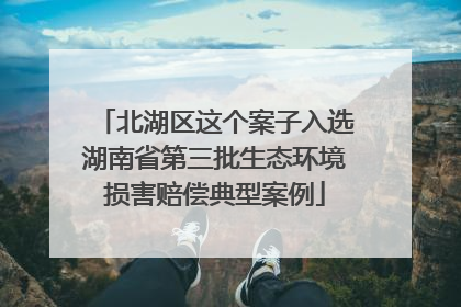 北湖区这个案子入选湖南省第三批生态环境损害赔偿典型案例