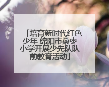 培育新时代红色少年 绵阳市桑枣小学开展少先队队前教育活动