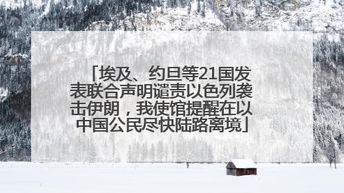 埃及、约旦等21国发表联合声明谴责以色列袭击伊朗，我使馆提醒在以中国公民尽快陆路离境