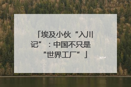 埃及小伙“入川记”：中国不只是“世界工厂”