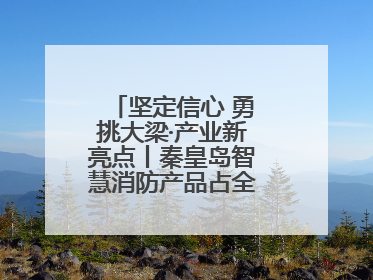 坚定信心 勇挑大梁·产业新亮点丨秦皇岛智慧消防产品占全国市场超四成