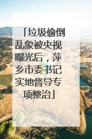 垃圾偷倒乱象被央视曝光后，萍乡市委书记实地督导专项整治