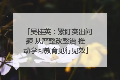 吴桂英：紧盯突出问题 从严整改整治 推动学习教育见行见效