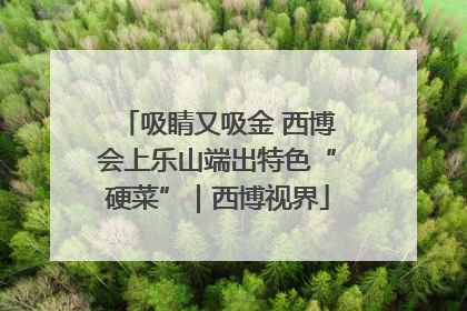 吸睛又吸金 西博会上乐山端出特色“硬菜”｜西博视界
