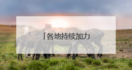 各地持续加力“两新”政策 释放消费潜力