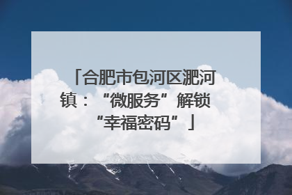 合肥市包河区淝河镇：“微服务”解锁“幸福密码”