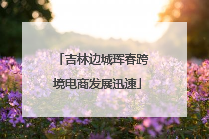 吉林边城珲春跨境电商发展迅速