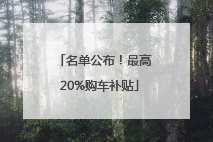 名单公布！最高20%购车补贴