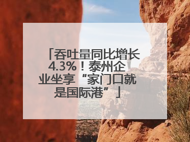 吞吐量同比增长4.3%！泰州企业坐享“家门口就是国际港”