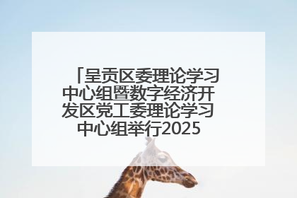 呈贡区委理论学习中心组暨数字经济开发区党工委理论学习中心组举行2025年第七次学习会议
