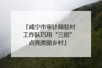 咸宁市审计局驻村工作队巧用“三招”点亮美丽乡村
