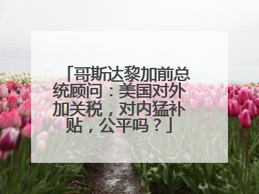 哥斯达黎加前总统顾问：美国对外加关税，对内猛补贴，公平吗？