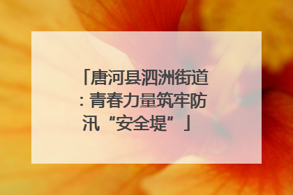 唐河县泗洲街道：青春力量筑牢防汛“安全堤”