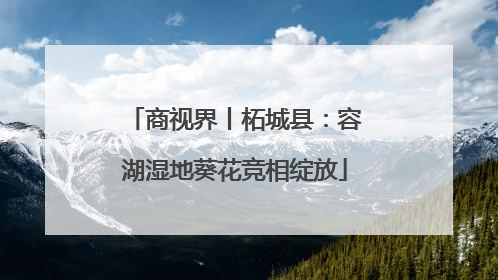 商视界丨柘城县：容湖湿地葵花竞相绽放