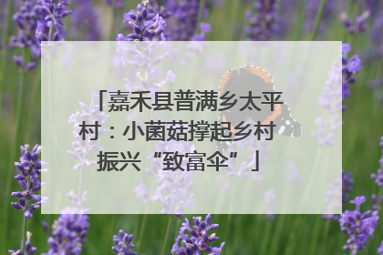 嘉禾县普满乡太平村：小菌菇撑起乡村振兴“致富伞”