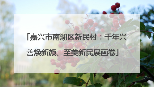 嘉兴市南湖区新民村：千年兴善焕新颜、至美新民展画卷