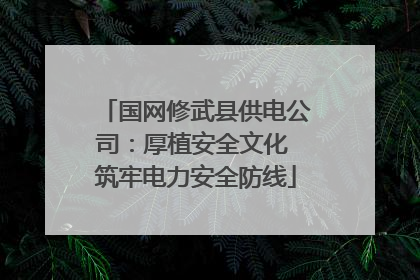 国网修武县供电公司：厚植安全文化 筑牢电力安全防线