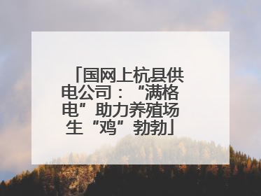 国网上杭县供电公司：“满格电”助力养殖场生“鸡”勃勃