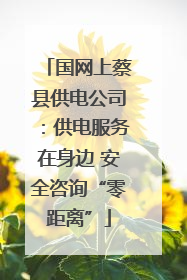 国网上蔡县供电公司：供电服务在身边 安全咨询“零距离”
