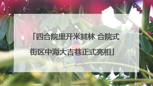 四合院里开米其林 合院式街区中海大吉巷正式亮相