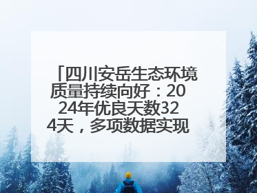 四川安岳生态环境质量持续向好：2024年优良天数324天，多项数据实现100%