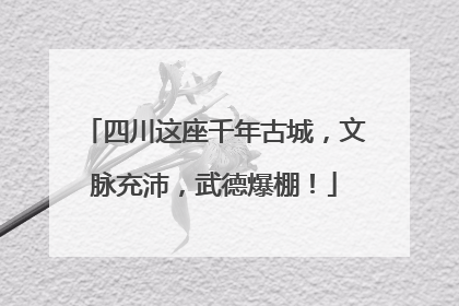 四川这座千年古城，文脉充沛，武德爆棚！