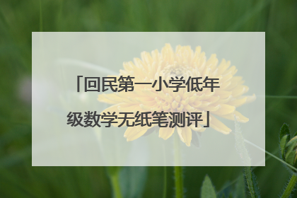 回民第一小学低年级数学无纸笔测评