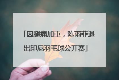 因腿痛加重，陈雨菲退出印尼羽毛球公开赛