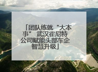 团队练就“大本事” 武汉霍尼特公司赋能头部车企智慧升级